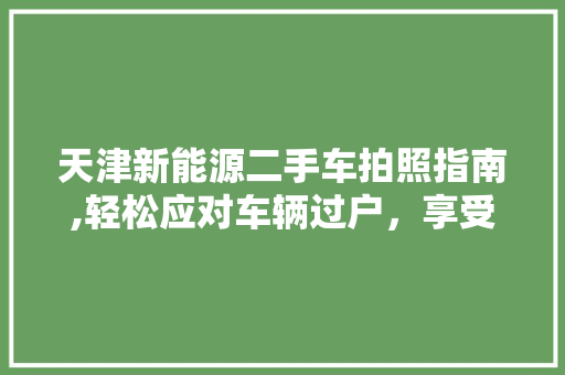 天津新能源二手车拍照指南,轻松应对车辆过户，享受绿色出行