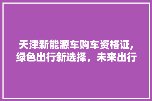 天津新能源车购车资格证,绿色出行新选择，未来出行趋势引领者