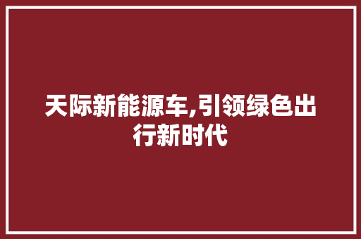 天际新能源车,引领绿色出行新时代
