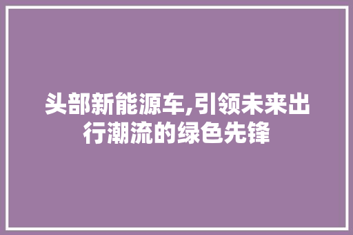 头部新能源车,引领未来出行潮流的绿色先锋