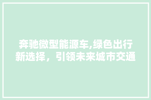 奔驰微型能源车,绿色出行新选择，引领未来城市交通变革