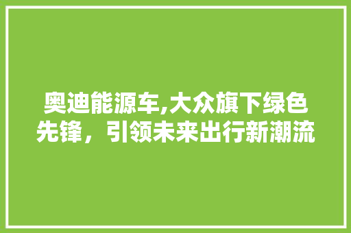 奥迪能源车,大众旗下绿色先锋，引领未来出行新潮流