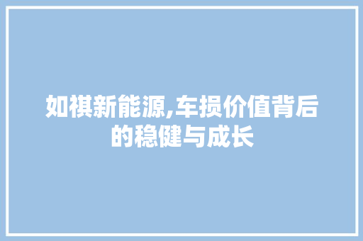 如祺新能源,车损价值背后的稳健与成长