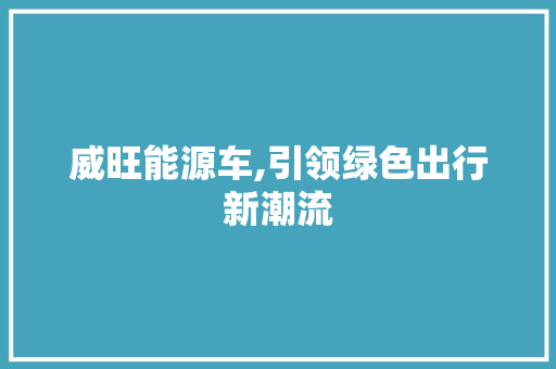 威旺能源车,引领绿色出行新潮流