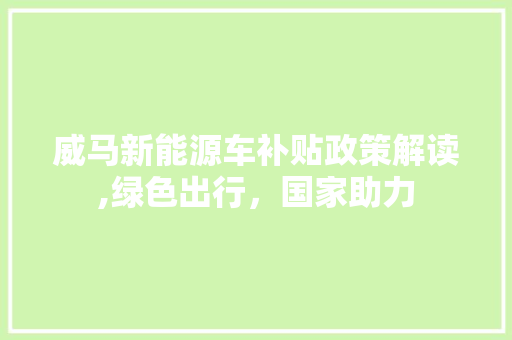 威马新能源车补贴政策解读,绿色出行，国家助力