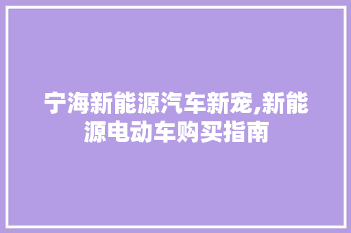 宁海新能源汽车新宠,新能源电动车购买指南