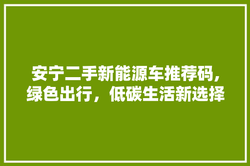 安宁二手新能源车推荐码,绿色出行，低碳生活新选择