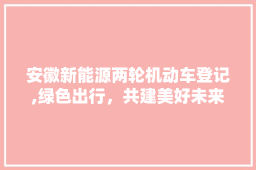 安徽新能源两轮机动车登记,绿色出行，共建美好未来