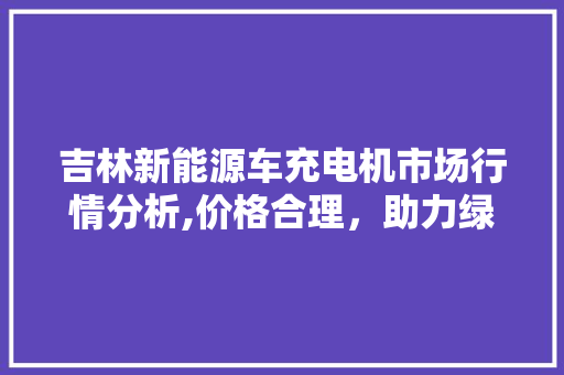 吉林新能源车充电机市场行情分析,价格合理，助力绿色出行