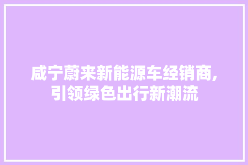 咸宁蔚来新能源车经销商,引领绿色出行新潮流