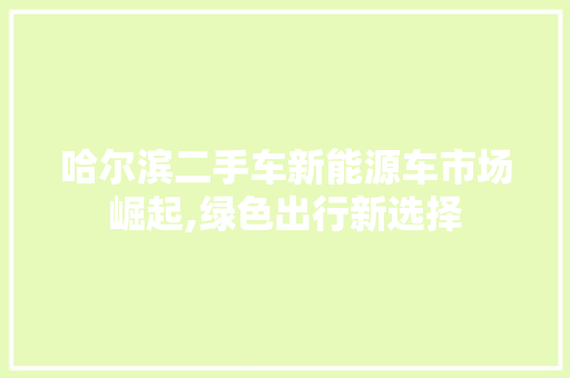 哈尔滨二手车新能源车市场崛起,绿色出行新选择 智能驾驶