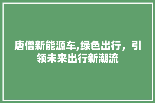 唐僧新能源车,绿色出行，引领未来出行新潮流 车联网技术