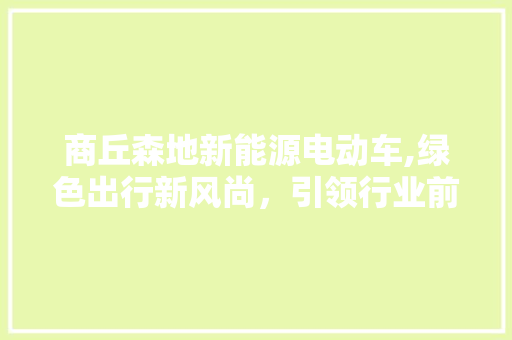 商丘森地新能源电动车,绿色出行新风尚，引领行业前行