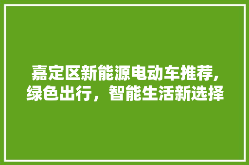 嘉定区新能源电动车推荐,绿色出行，智能生活新选择