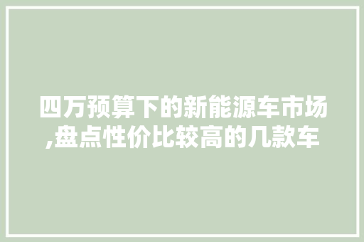四万预算下的新能源车市场,盘点性价比较高的几款车型 智能驾驶