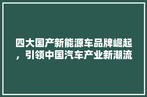 四大国产新能源车品牌崛起，引领中国汽车产业新潮流 自动驾驶