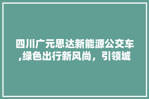 四川广元思达新能源公交车,绿色出行新风尚，引领城市环保潮流