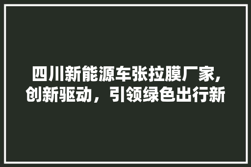 四川新能源车张拉膜厂家,创新驱动，引领绿色出行新时代