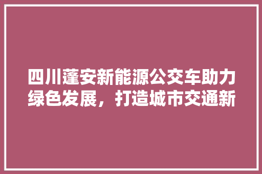 四川蓬安新能源公交车助力绿色发展，打造城市交通新名片