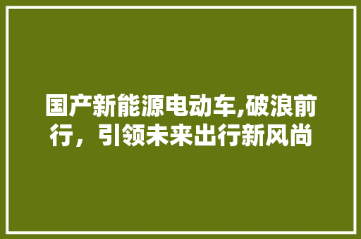 国产新能源电动车,破浪前行，引领未来出行新风尚