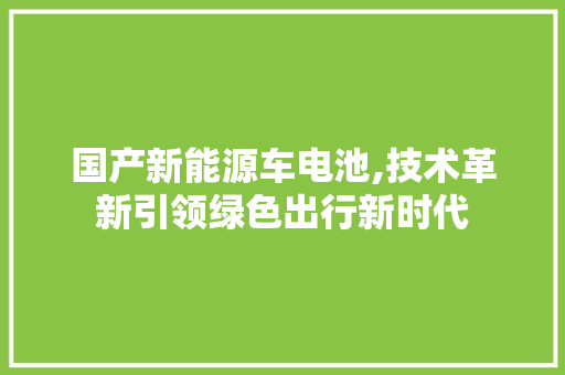 国产新能源车电池,技术革新引领绿色出行新时代