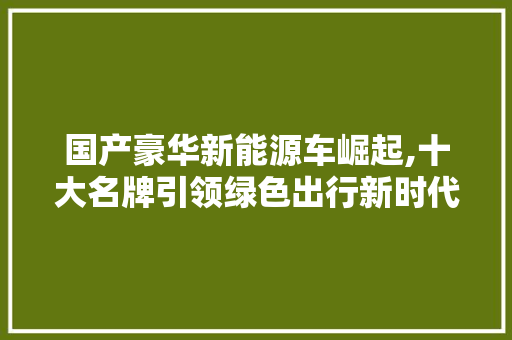 国产豪华新能源车崛起,十大名牌引领绿色出行新时代 汽车轮胎