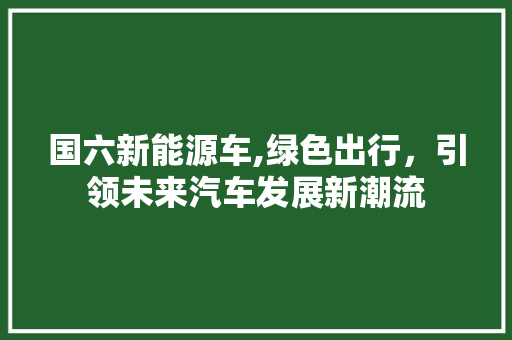 国六新能源车,绿色出行，引领未来汽车发展新潮流