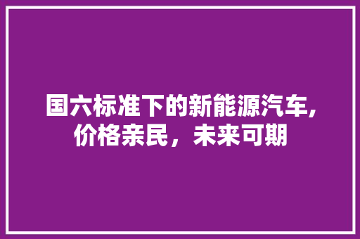 国六标准下的新能源汽车,价格亲民，未来可期