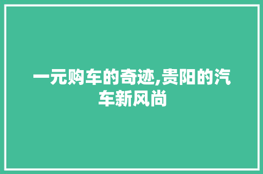 一元购车的奇迹,贵阳的汽车新风尚
