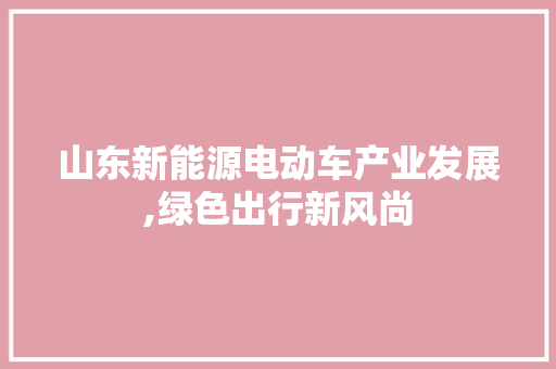 山东新能源电动车产业发展,绿色出行新风尚