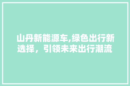 山丹新能源车,绿色出行新选择，引领未来出行潮流
