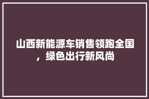 山西新能源车销售领跑全国，绿色出行新风尚