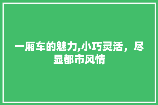 一厢车的魅力,小巧灵活，尽显都市风情