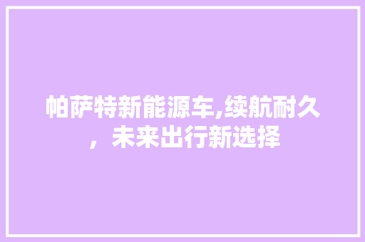 帕萨特新能源车,续航耐久，未来出行新选择 汽车配件