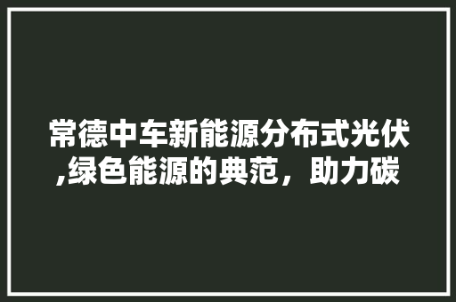 常德中车新能源分布式光伏,绿色能源的典范，助力碳中和目标实现