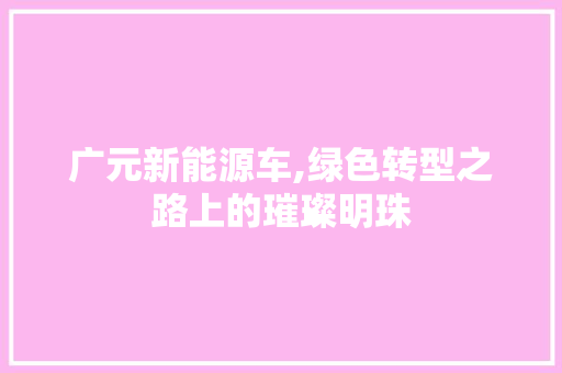 广元新能源车,绿色转型之路上的璀璨明珠