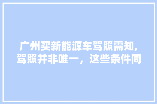 广州买新能源车驾照需知,驾照并非唯一，这些条件同样重要！