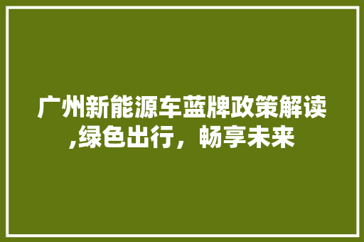 广州新能源车蓝牌政策解读,绿色出行，畅享未来