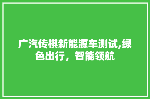 广汽传祺新能源车测试,绿色出行，智能领航