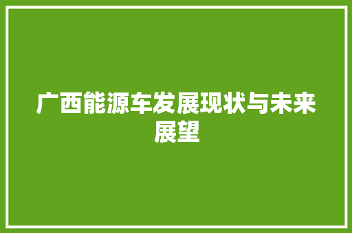 广西能源车发展现状与未来展望