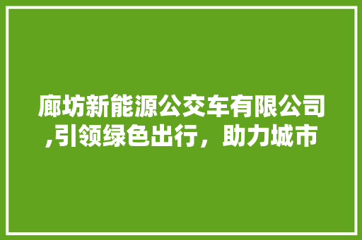 廊坊新能源公交车有限公司,引领绿色出行，助力城市环保新篇章
