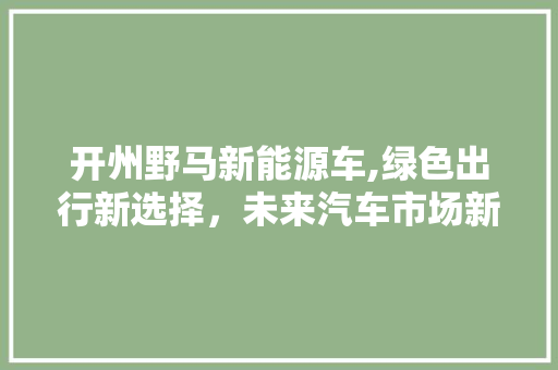 开州野马新能源车,绿色出行新选择，未来汽车市场新宠儿
