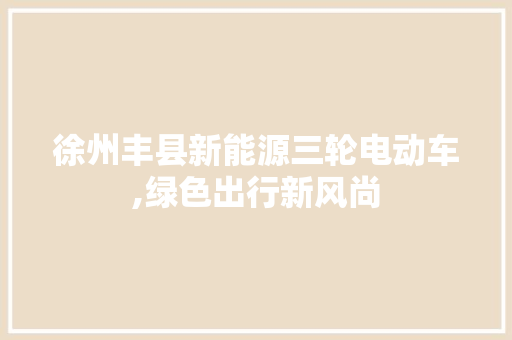 徐州丰县新能源三轮电动车,绿色出行新风尚