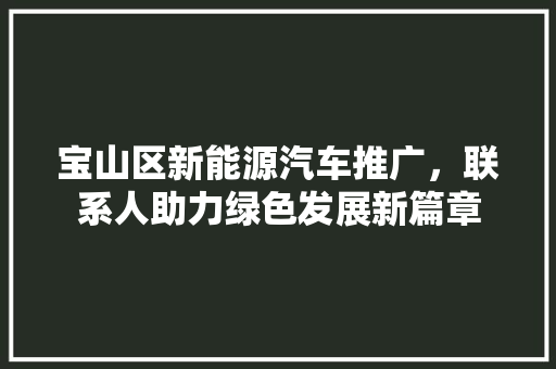 宝山区新能源汽车推广，联系人助力绿色发展新篇章