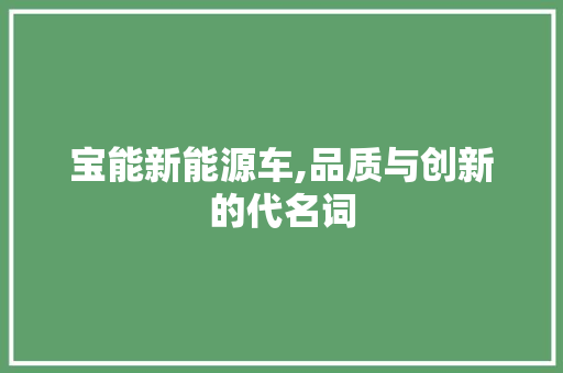 宝能新能源车,品质与创新的代名词