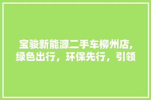 宝骏新能源二手车柳州店,绿色出行，环保先行，引领新能源二手车市场新潮流