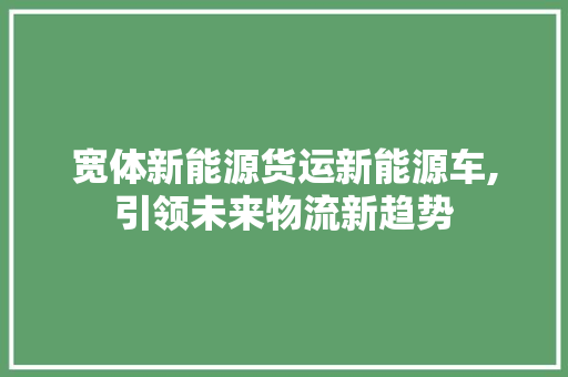宽体新能源货运新能源车,引领未来物流新趋势