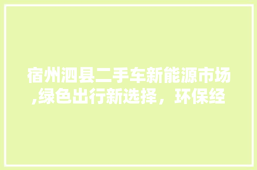 宿州泗县二手车新能源市场,绿色出行新选择，环保经济双赢
