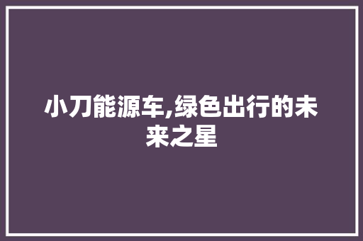 小刀能源车,绿色出行的未来之星