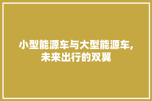 小型能源车与大型能源车,未来出行的双翼